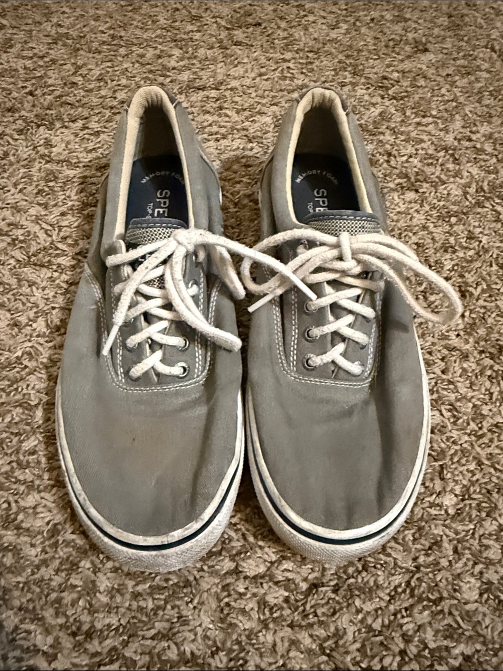 Sperry Men's Gray Canvas Lace-Up Sneakers